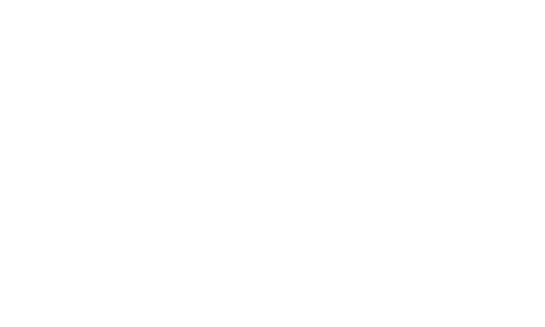 05 Tata Steel