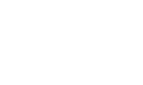 06 Altran