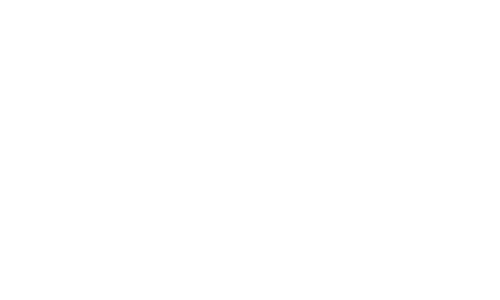 denso Denso