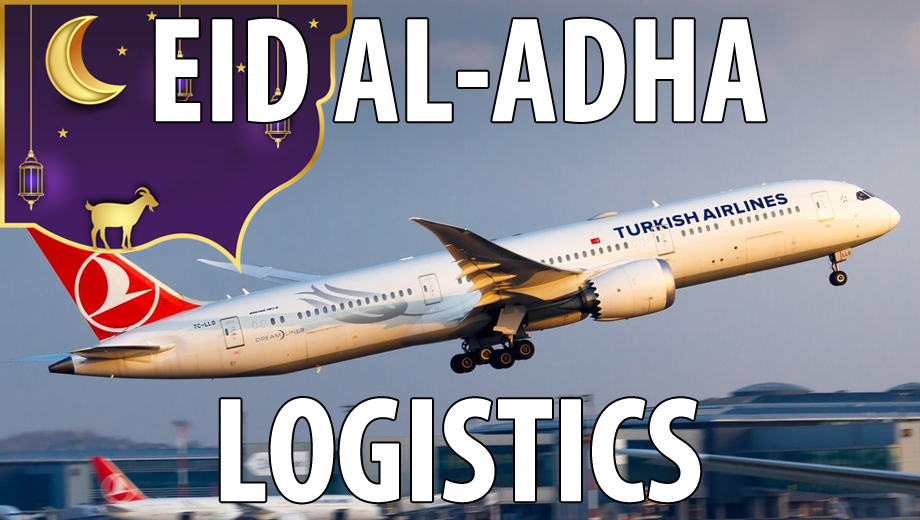 Avion Turkish Airlines pendant les perturbations logistiques de l’Aïd al-Adha